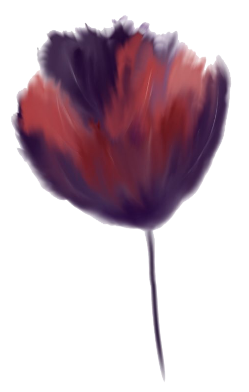 Poppy Drawing Honoring 'C'